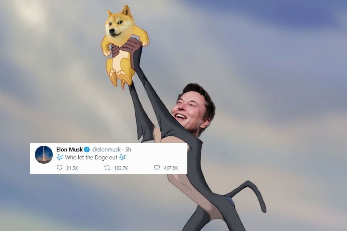 Elon Musk's Obsession With Dogecoin Has Skyrocketed Cryptocurrency Market  Price, Memes